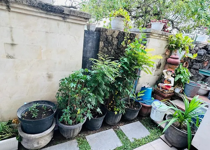 Mason House Kerobokan